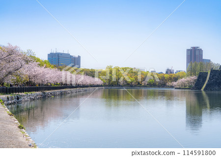 【櫻花】春天的大阪城公園 【櫻花】春天的大阪城公園 114591800