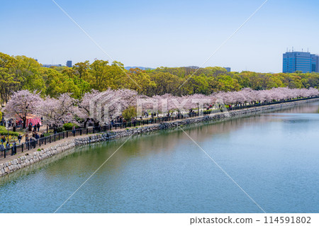 [Cherry Blossoms] Osaka Castle Park in Spring 114591802