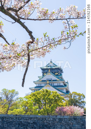 【櫻花】春天的大阪城公園 【櫻花】春天的大阪城公園 114592166
