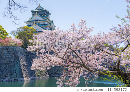 [Cherry Blossoms] Osaka Castle Park in Spring 114592172