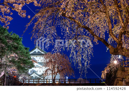 青森縣弘前城夜景、燈火通明的城堡塔樓和垂枝櫻花的壯麗景色 青森縣弘前城夜景、燈火通明的城堡塔樓和垂枝櫻花的壯麗景色 114592426