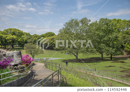 神奈川縣橫濱市港北區紀根町紀根公園 114592446