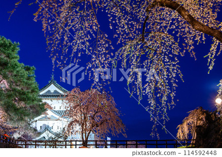 青森縣弘前城夜景、燈火通明的城堡塔樓和垂枝櫻花的壯麗景色 114592448