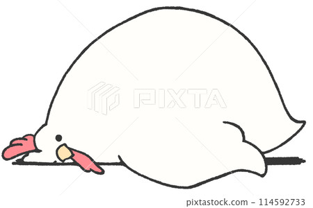 A chicken lying down and looking at you A chicken lying down and looking at you 114592733