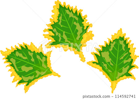 葉子的天婦羅 114592741