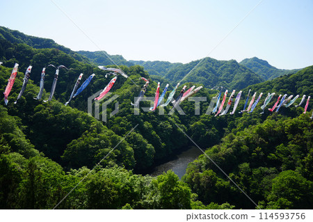 Ryujin Large Suspension Bridge Koinobori Festival 114593756