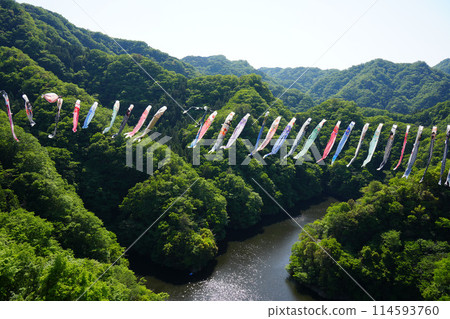 Ryujin Large Suspension Bridge Koinobori Festival 114593760