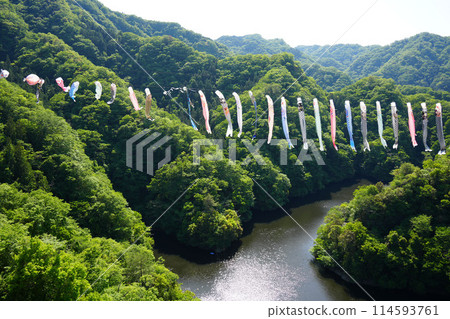 Ryujin Large Suspension Bridge Koinobori Festival 114593761