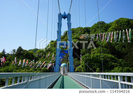 Ryujin Large Suspension Bridge Koinobori Festival 114594016