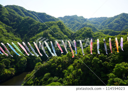 Ryujin Large Suspension Bridge Koinobori Festival 114594023