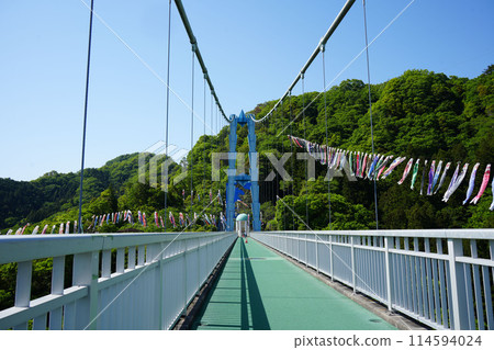 Ryujin Large Suspension Bridge Koinobori Festival 114594024