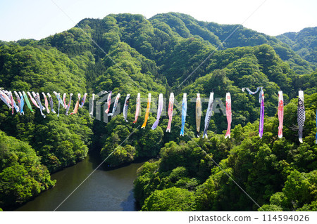 Ryujin Large Suspension Bridge Koinobori Festival 114594026