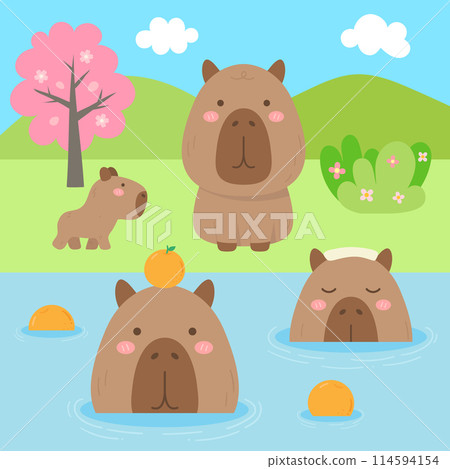 cute sweet hand drawn capybara chilling in the hot spring illustration 114594154