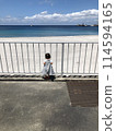 一個女孩從柵欄看海 114594165