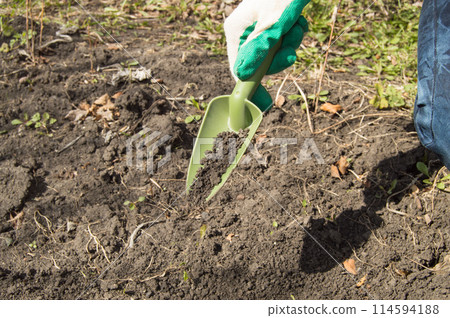Woman working in your garden - preparing the soil for raised beds Woman working in your garden - preparing the soil for raised beds 114594188