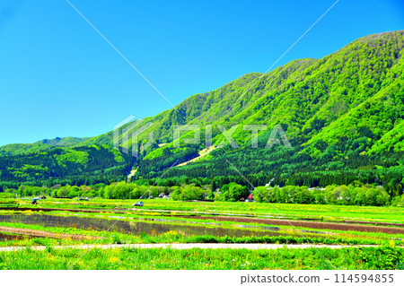 View of the Hakuba Sanosaka Ski Resort area (Hakuba Village, Nagano Prefecture) [May 2024] 114594855