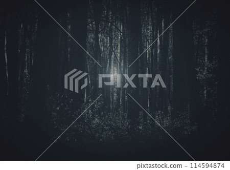 Trunks of trees 114594874