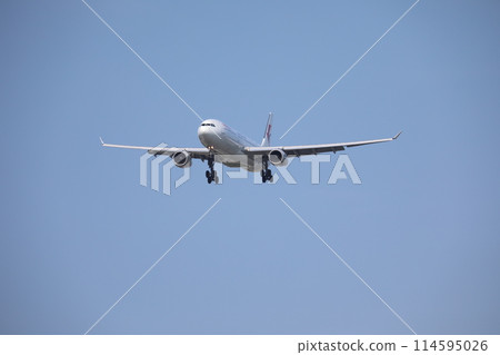 airliner 114595026
