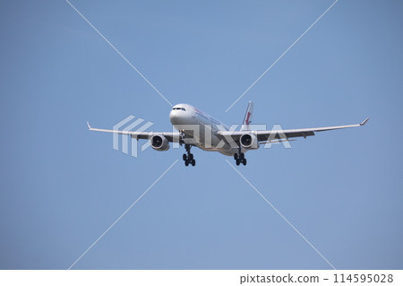 客機 客機 114595028
