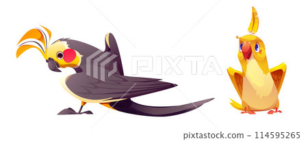 Cute cartoon parrot with colorful feathers. Cute cartoon parrot with colorful feathers. 114595265