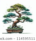 松樹盆景的插圖 114595511