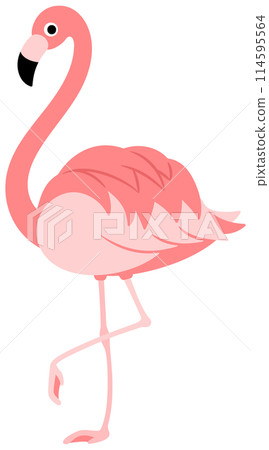 色彩繽紛的火烈鳥插畫 色彩繽紛的火烈鳥插畫 114595564