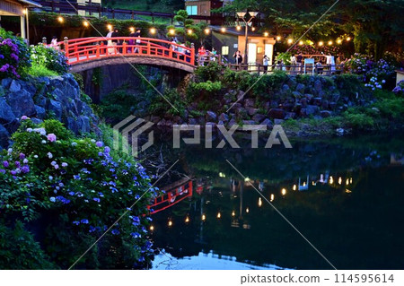 Illuminated hydrangeas at Katahara Onsen Illuminated hydrangeas at Katahara Onsen 114595614