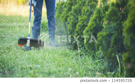 worker mows green grass on the lawn with hand trimmer. lawn care. weed control. Woman with gasoline mower cutting grass. Grass trimmer worker, garden work. 114595720