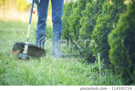 worker mows green grass on the lawn with hand trimmer. lawn care. weed control. Woman with gasoline mower cutting grass. Grass trimmer worker, garden work. 114595724