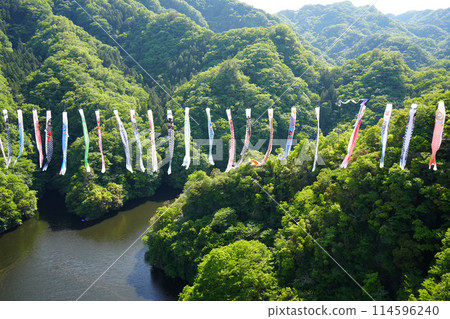 Ryujin Large Suspension Bridge Koinobori Festival 114596240