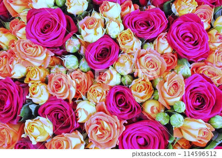 Natural fresh pink and peach orange roses, flowers pattern wallpaper. Close up roses bunch. Wedding bouquet Natural fresh pink and peach orange roses, flowers pattern wallpaper. Close up roses bunch. Wedding bouquet 114596512