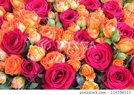 Natural fresh pink and peach orange roses, flowers pattern wallpaper. Close up roses bunch. Wedding bouquet Natural fresh pink and peach orange roses, flowers pattern wallpaper. Close up roses bunch. Wedding bouquet 114596513
