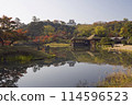 Genkyuen Garden: Autumn leaves and Hikone Castle 114596523