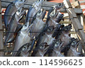 Dried mackerel 114596625