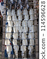 Dried Bigfin Reef Squid 114596628