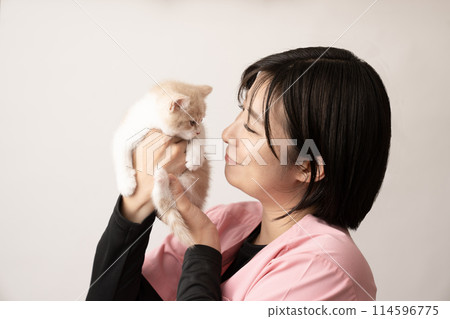 有蘇格蘭折耳貓小貓的獸醫婦女 114596775