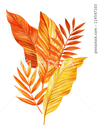 Bright tropical leaves on an isolated background. Yellow, orange dry leaves watercolor hand drawing 114597103