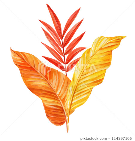 Bright tropical leaves on isolated background. Yellow, orange dry leaves watercolor hand drawing abstract illustration 114597106