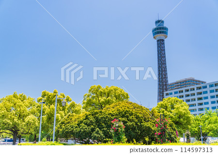 （神奈川縣）從橫濱市山下公園看到的海洋塔 114597313