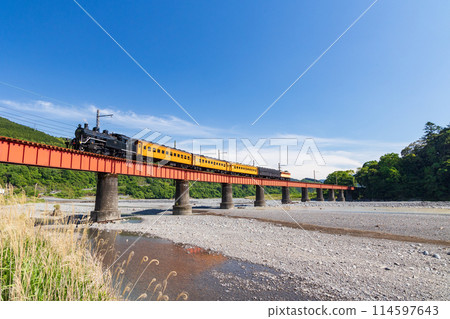 C10 跨越大井川第一大橋 114597643