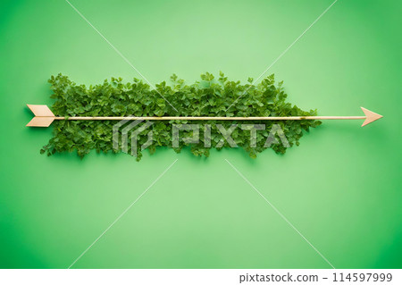 Arrow covered with green plants against green background. 114597999