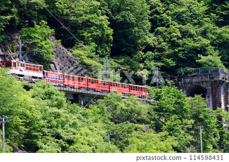 Abt型列車在陡坡上行駛 Abt型列車在陡坡上行駛 114598431