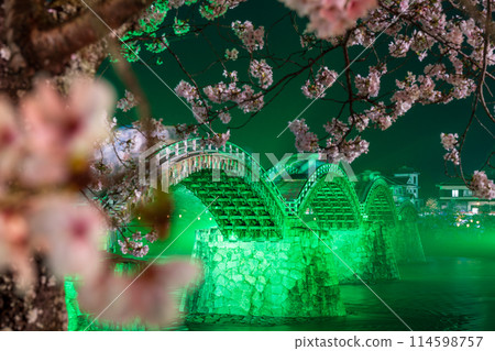 錦帶橋櫻花夜景 岩國市 114598757