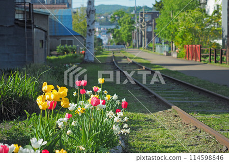 Otaru Former JNR Temiya Line Walking Path Otaru Former JNR Temiya Line Walking Path 114598846