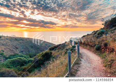 Hallett Cove public coastal walking trail Hallett Cove public coastal walking trail 114598854
