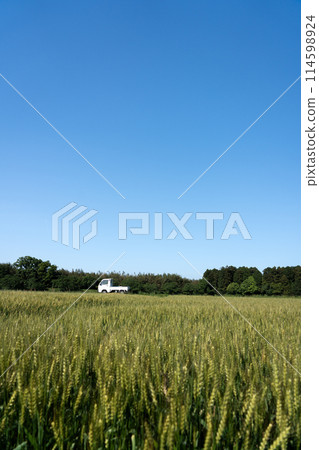 複製五月麥田與晴朗天空的空間 複製五月麥田與晴朗天空的空間 114598924