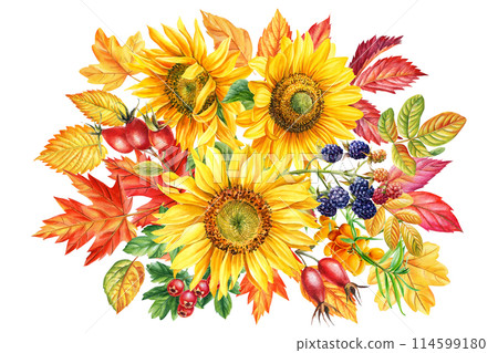 Bouquet of Sunflower flowers, berries, leaves Watercolor. Vintage Fall botanical painting autumn illustration clipart Bouquet of Sunflower flowers, berries, leaves Watercolor. Vintage Fall botanical painting autumn illustration clipart 114599180