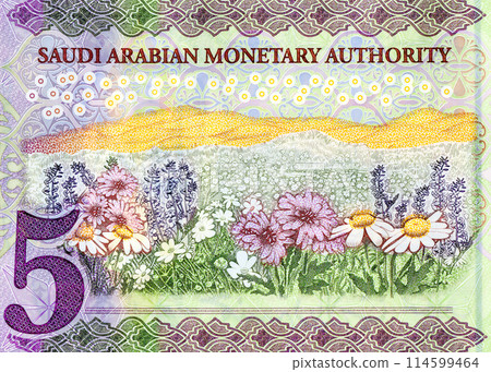 Fragment of the reverse side with field of flowers of the 5 SAR five Saudi Arabia riyals banknote 114599464