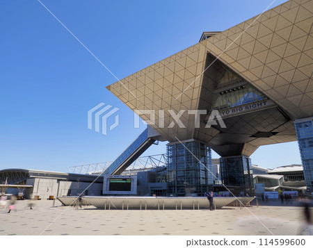 東京大視野 114599600