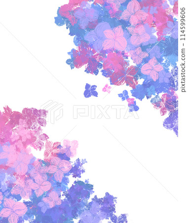 Hydrangea 114599606